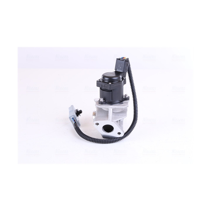 Zawór spalin EGR NISSENS 98244