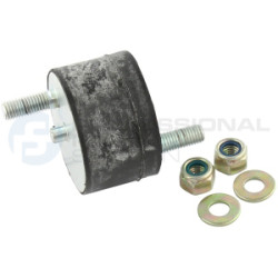 Poduszka silnika Professional Parts 62434110