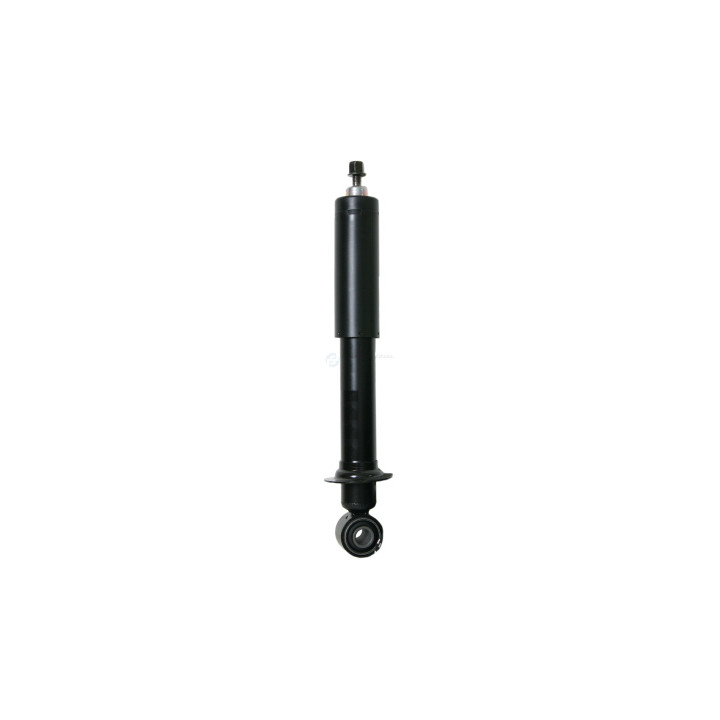 Amortyzator Professional Parts 72430056