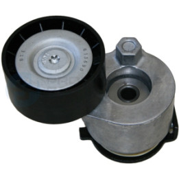 Rolka napinacza paska klinowego wielorowkowego Professional Parts 21438633C