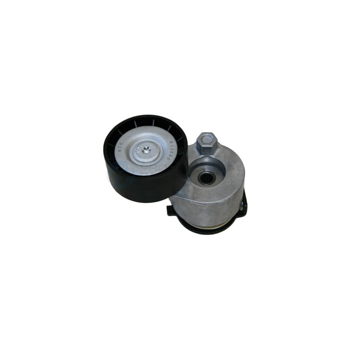 Rolka napinacza paska klinowego wielorowkowego Professional Parts 21438633C
