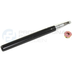 Amortyzator Professional Parts 72439819