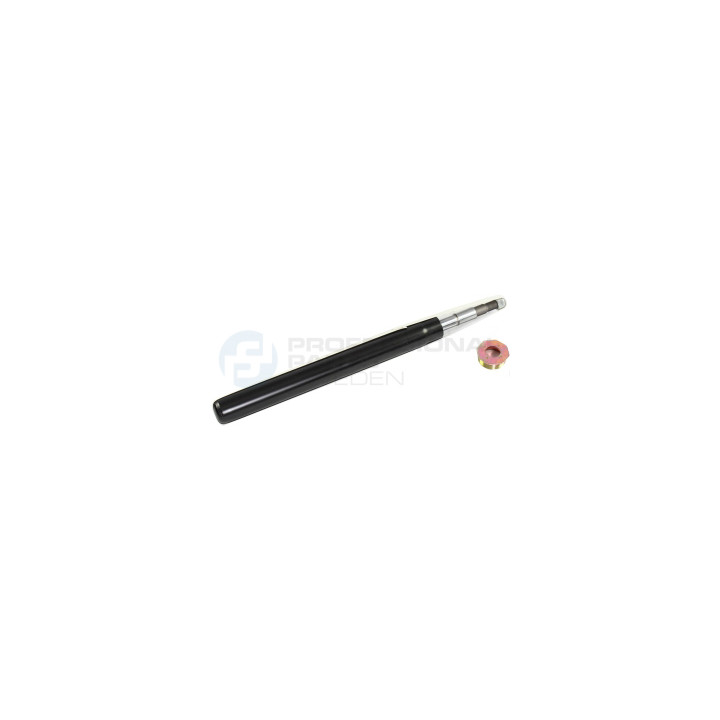 Amortyzator Professional Parts 72439819