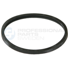 Uszczelka termostatu Professional Parts 21438375