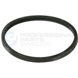 Uszczelka termostatu Professional Parts 21438375