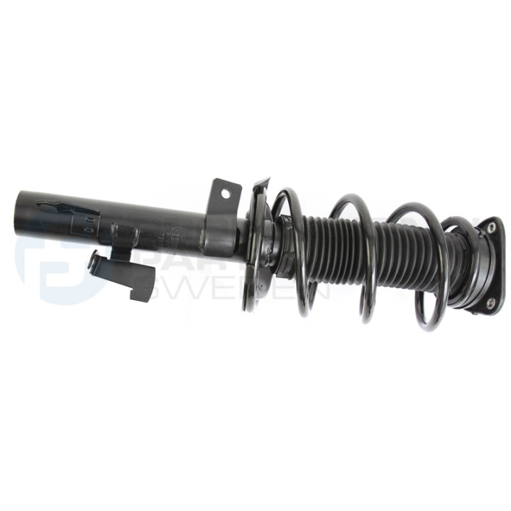 Zestaw zawieszenia sprężyna i amortyzator Professional Parts 72433608C