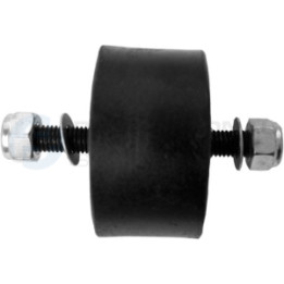 Poduszka silnika Professional Parts 62433946