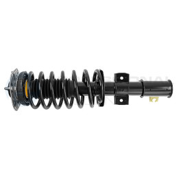 Zestaw zawieszenia sprężyna i amortyzator Professional Parts 72433314C