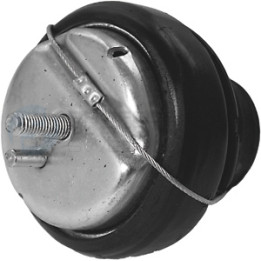 Poduszka silnika Professional Parts 62434254