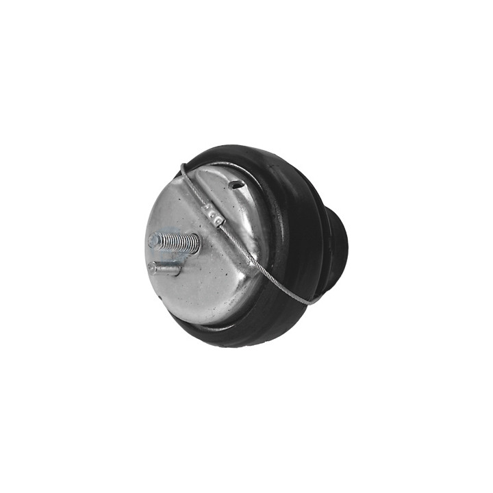 Poduszka silnika Professional Parts 62434254