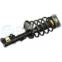Zestaw zawieszenia sprężyna i amortyzator Professional Parts 72435831C