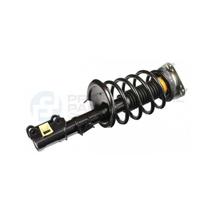 Zestaw zawieszenia sprężyna i amortyzator Professional Parts 72435831C