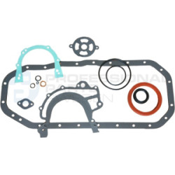 Zestaw uszczelek skrzyni korbowej Professional Parts 21438011