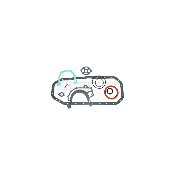 Zestaw uszczelek skrzyni korbowej Professional Parts 21438011