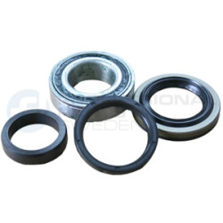 Piasta łożysko koła Professional Parts 77433872