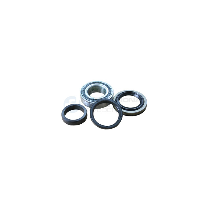 Piasta łożysko koła Professional Parts 77433872