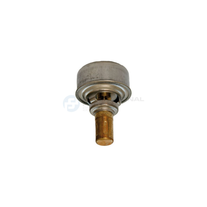 Termostat Professional Parts 26433501