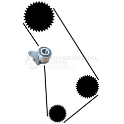 Zestaw paska rozrządu Professional Parts 21430006