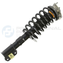 Zestaw zawieszenia sprężyna i amortyzator Professional Parts 72435823C