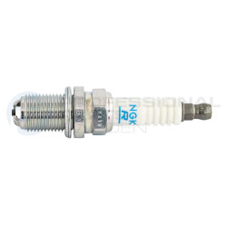Świeca zapłonowa Professional Parts FGR7DQE