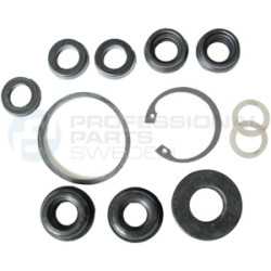 Zestaw naprawczy pompy hamulcowej Professional Parts 52433127