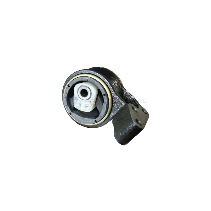Poduszka silnika Professional Parts 62436670