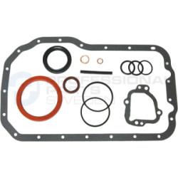 Zestaw uszczelek skrzyni korbowej Professional Parts 21431611
