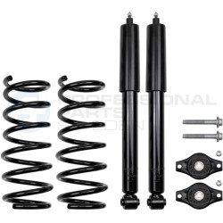 Zestaw zawieszenia sprężyna i amortyzator Professional Parts 72434723C