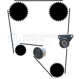 Zestaw paska rozrządu Professional Parts 21430014