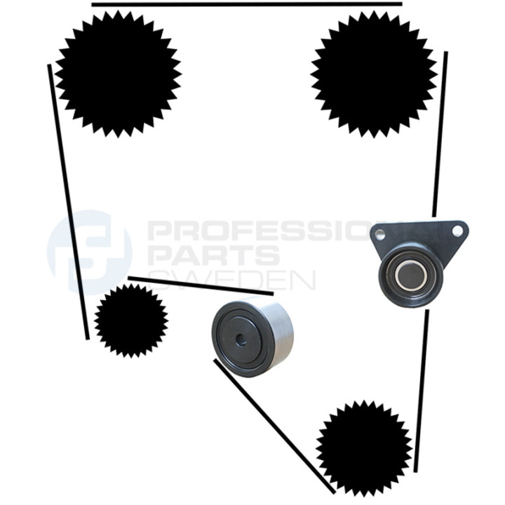 Zestaw paska rozrządu Professional Parts 21430014