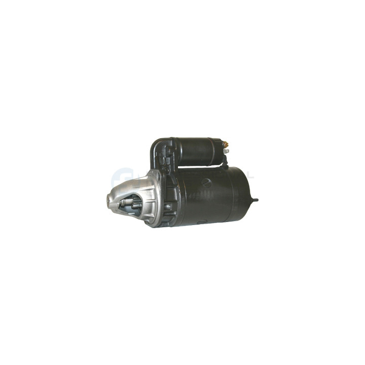 Rozrusznik Professional Parts 28431033