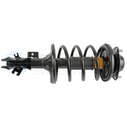 Zestaw zawieszenia sprężyna i amortyzator Professional Parts 72430020C