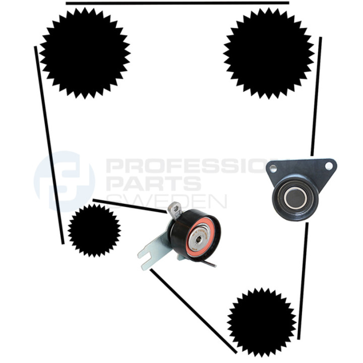 Zestaw paska rozrządu Professional Parts 21430029