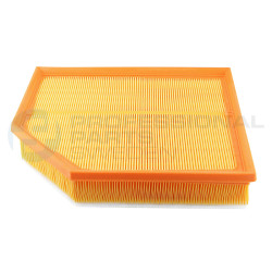 Filtr powietrza Professional Parts 24430089