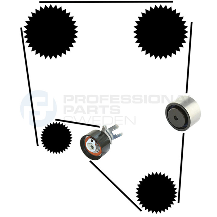 Zestaw paska rozrządu Professional Parts 21430038