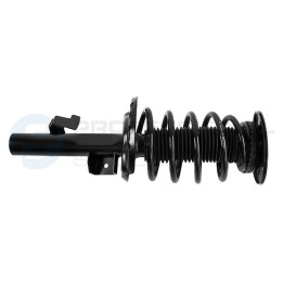 Zestaw zawieszenia sprężyna i amortyzator Professional Parts 72437906C