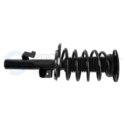 Zestaw zawieszenia sprężyna i amortyzator Professional Parts 72437906C