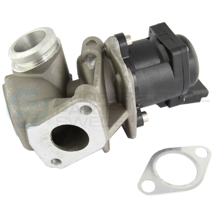 Zawór spalin EGR Professional Parts 87431412