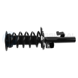 Zestaw zawieszenia sprężyna i amortyzator Professional Parts 72432219C