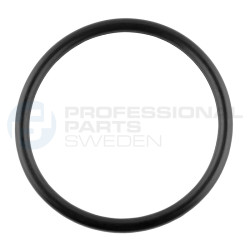 Uszczelka pompy paliwa Professional Parts 23439276