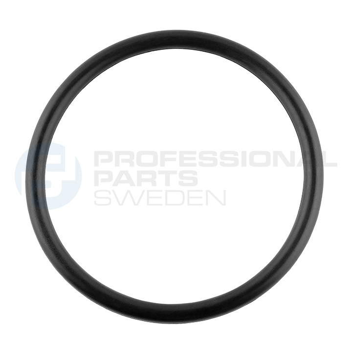 Uszczelka pompy paliwa Professional Parts 23439276