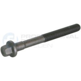 Śruba głowicy cylindrów Professional Parts 21436341
