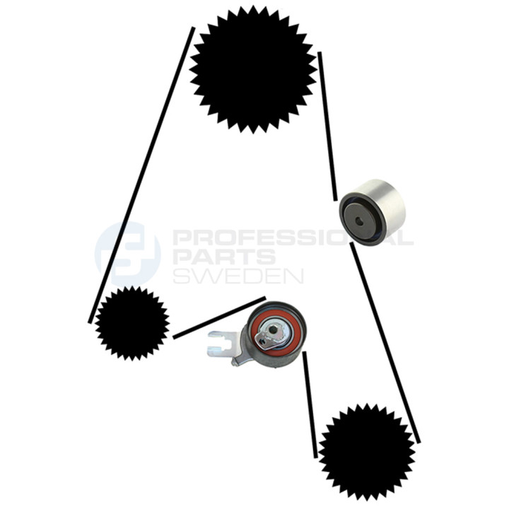 Zestaw paska rozrządu Professional Parts 21430025