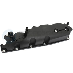 Pokrywa głowicy cylindrów Professional Parts 21439643