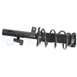 Zestaw zawieszenia sprężyna i amortyzator Professional Parts 72433609C