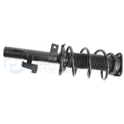 Zestaw zawieszenia sprężyna i amortyzator Professional Parts 72433609C