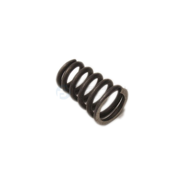 Sprężyna mocowania rury wydechowej Professional Parts 25432563