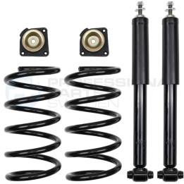 Zestaw zawieszenia sprężyna i amortyzator Professional Parts 72430406CHD
