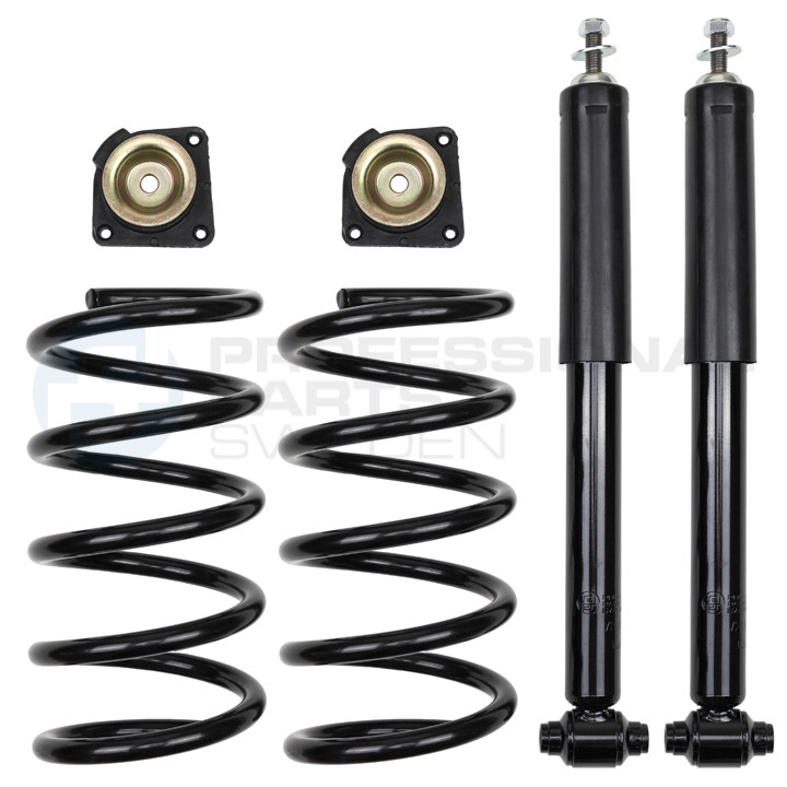 Zestaw zawieszenia sprężyna i amortyzator Professional Parts 72430406CHD