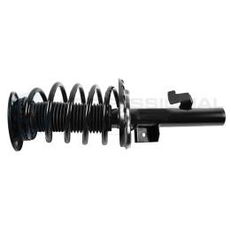 Zestaw zawieszenia sprężyna i amortyzator Professional Parts 72432509C